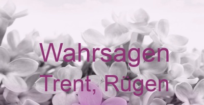 Wahrsagen Trent, Rügen | Top-Experten für Kartenlegen, Wahrsagen, Hellsehen, Zukunftsdeutung. Wahrsagen Trent, Rügen | Top-Experten für Kartenlegen, Wahrsagen, Hellsehen, Zukunftsdeutung.